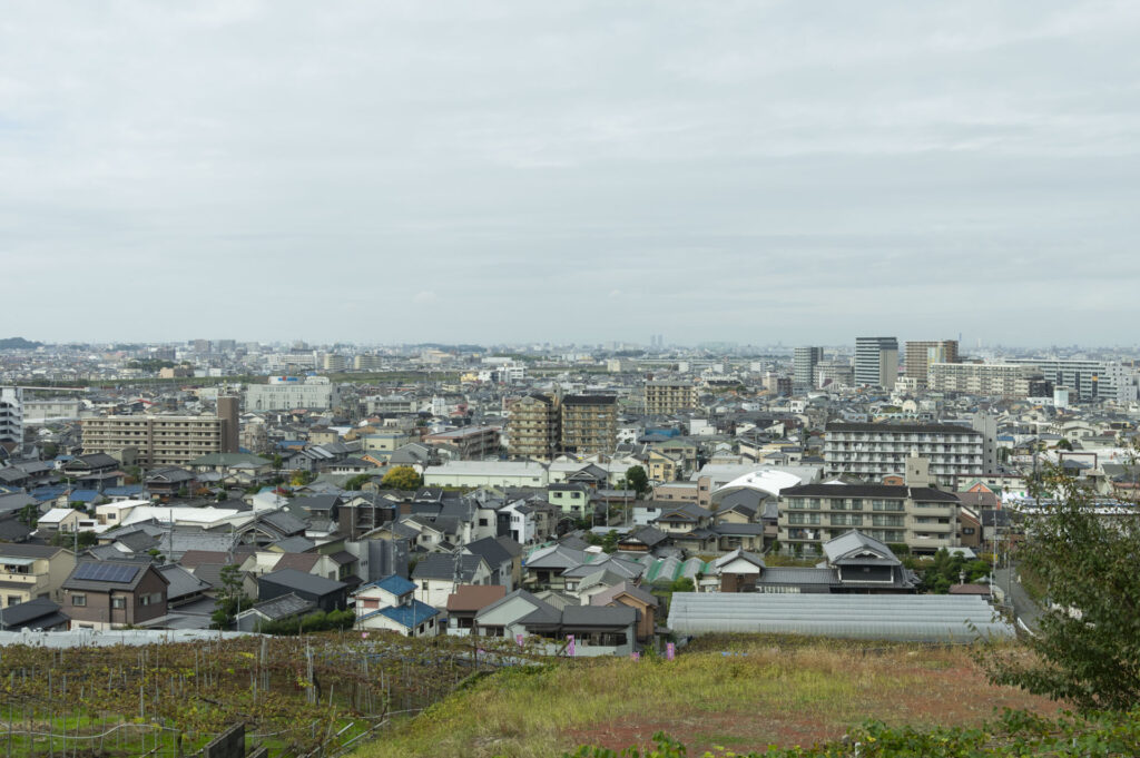 かたしもワイン祭り2024に参加してきました。